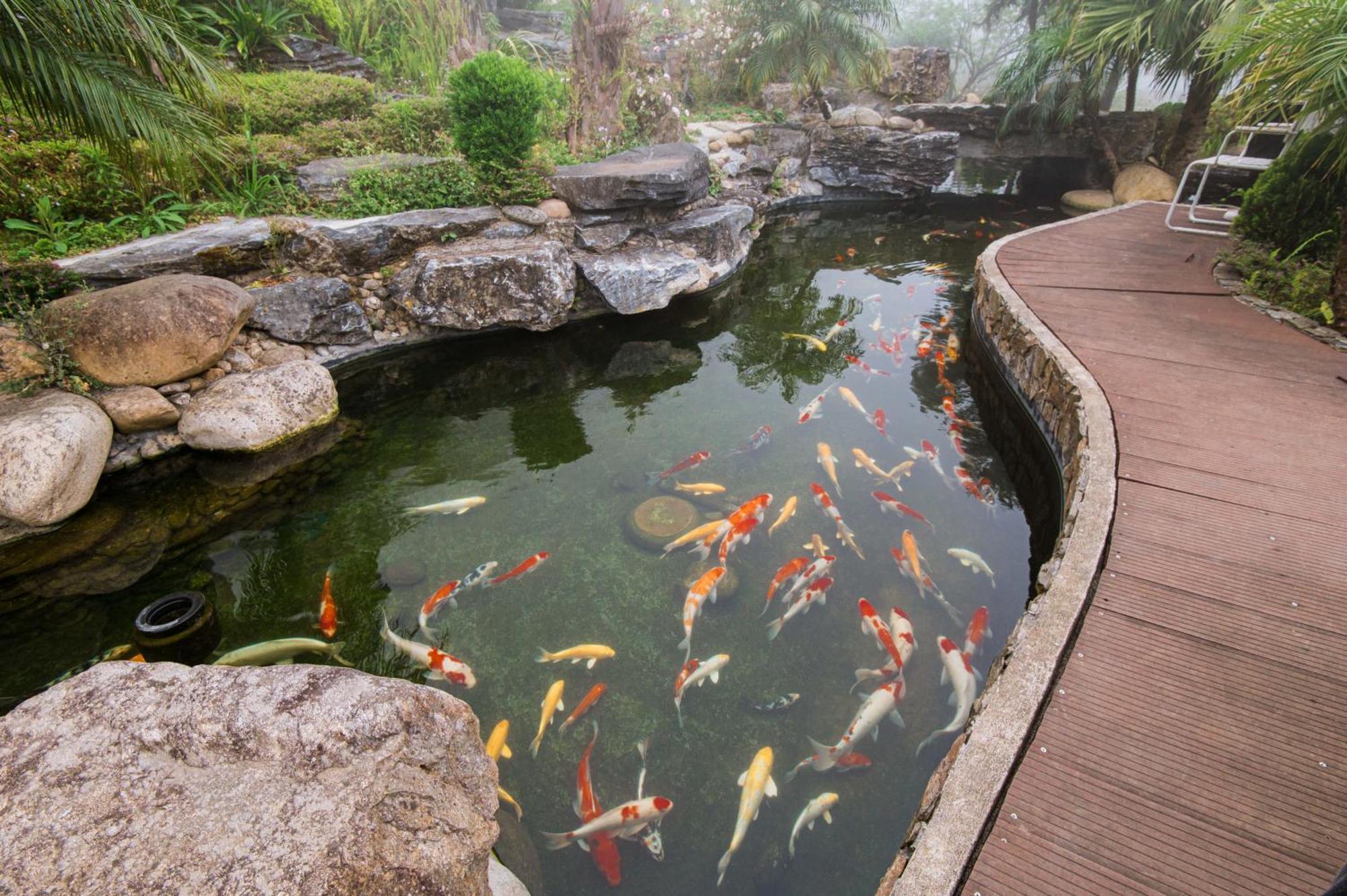 Sapa Catcat Hills Resort & Spa Εξωτερικό φωτογραφία